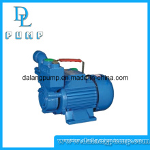 Dalang Self-Priming Clean Water Pump